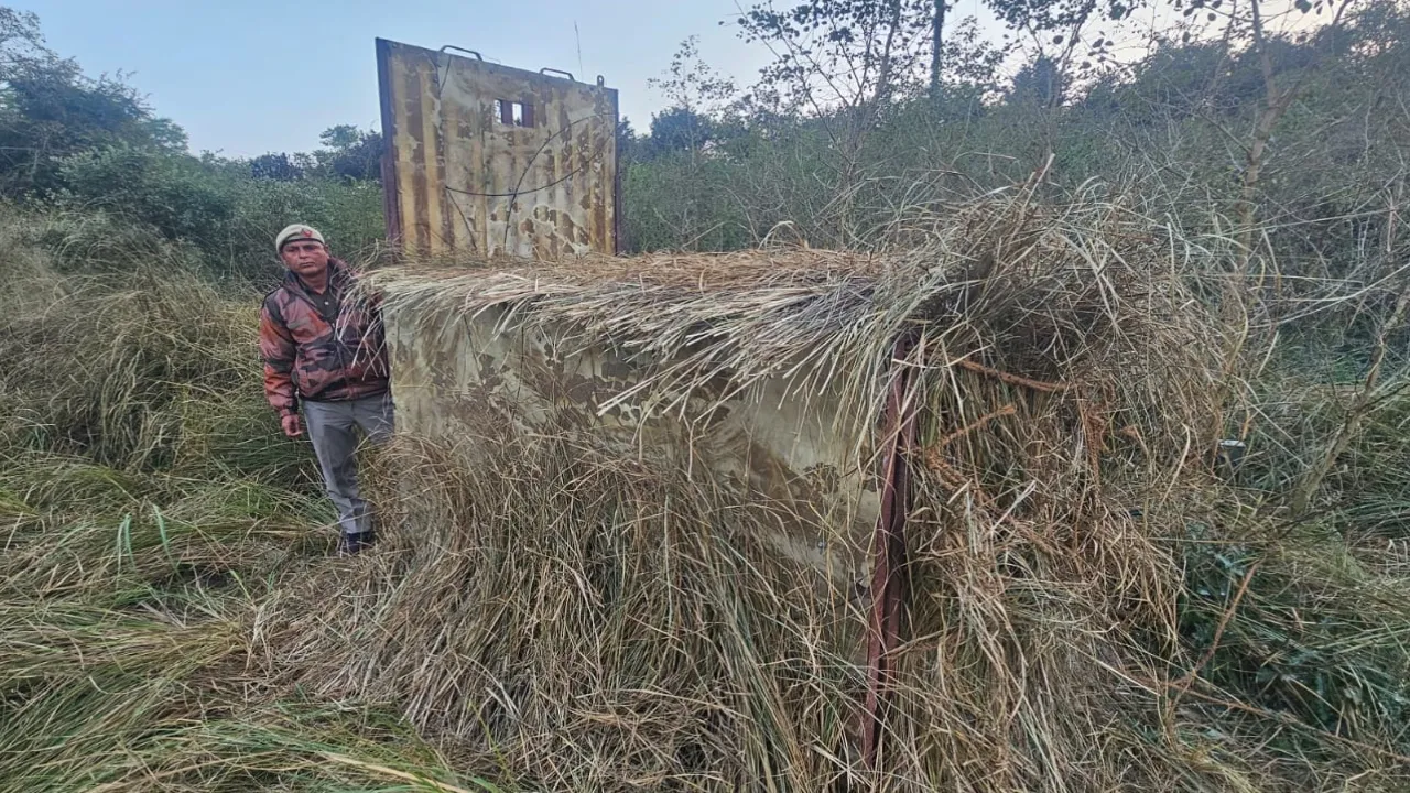 Tiger in Rehmankheda : ग्रामीण सुन रहे बाघ की दहाड़, 60 गांवों में दहशत बरकरार