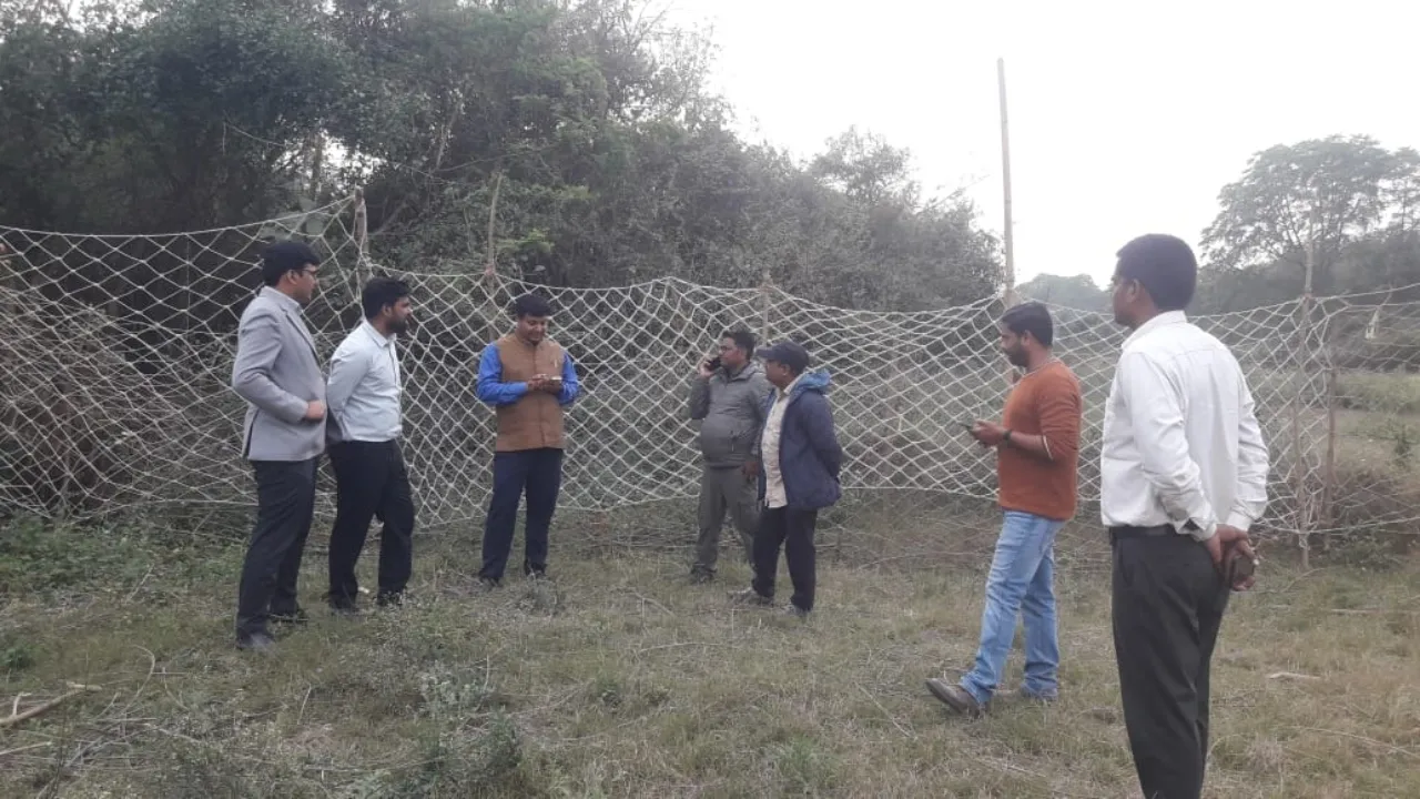 Rehmankheda : 85 दिनों से बाघ वन्यकर्मियों से खेल रहा लुकाछिपी, 23 वां शिकार करने के बाद वन्यजीव फिर से लापता