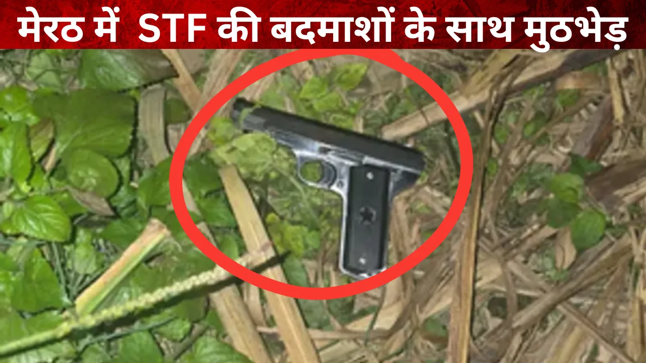 मेरठ में  STF की बदमाशों के साथ मुठभेड़, एक लाख का इनामी बदमाश ढेर