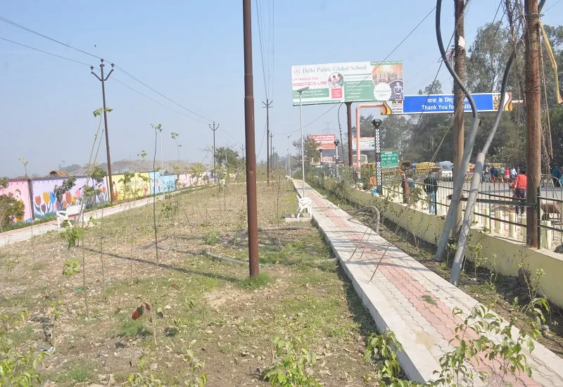 मुरादाबाद : रामपुर रोड पर दो एकड़ भूमि पर विकसित हो रहा ग्रीन बेल्ट, पर्यावरण संरक्षण को मिलेगा प्रोत्साहन 