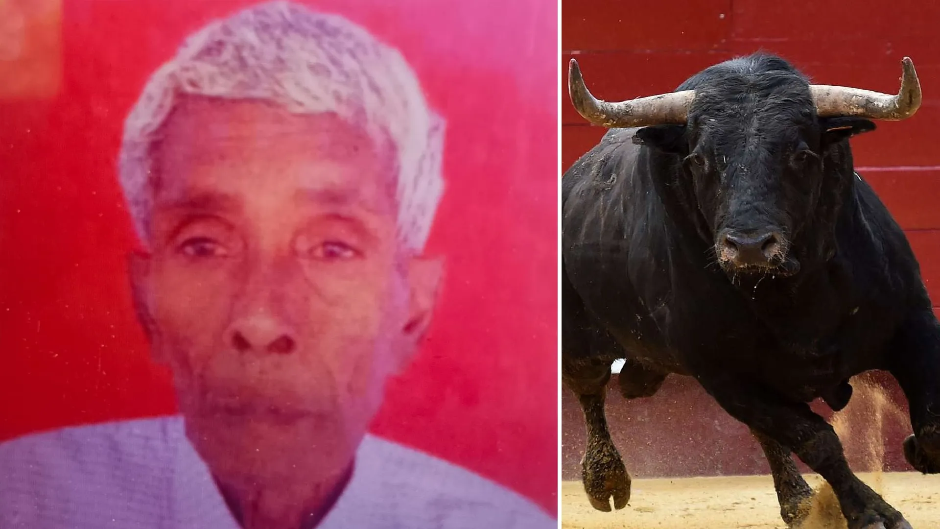 शाहजहांपुर: बुजुर्ग किसान पर हमलावर हुआ सांड...जमीन पर पटक कर मार डाला