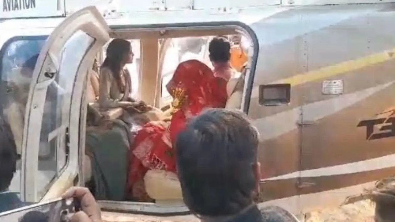 हमीरपुर Groom 11