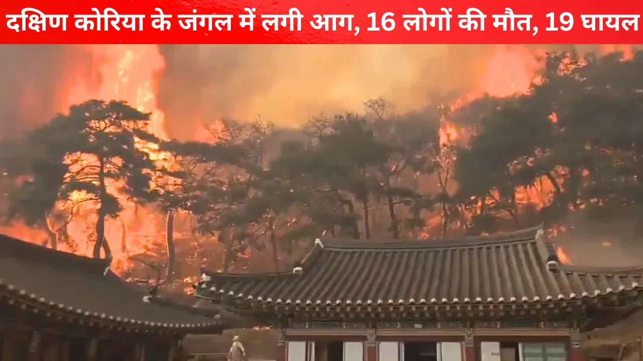 दक्षिण कोरिया के जंगल में आग लगने से कम से कम 16 लोगों की मौत, 19 घायल 