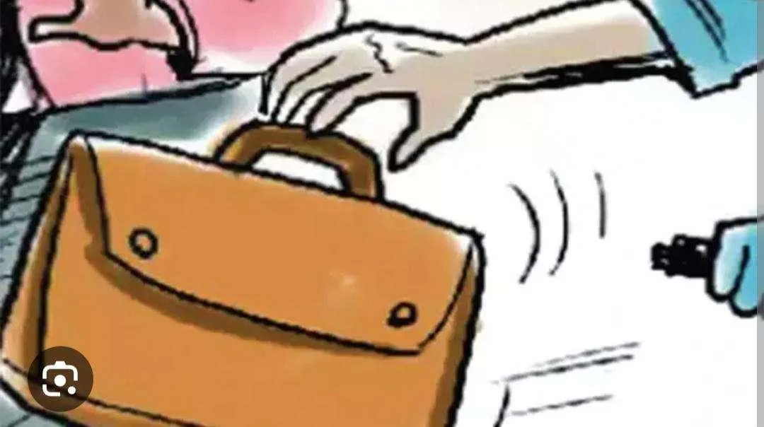 महिला के बैग से दिन दहाड़े 56 हजार रूपये और मोबाइल उड़ाया     