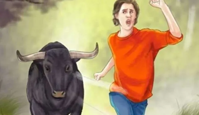 शाहजहांपुर: सांड से टकराकर घायल महिला समेत दो की मौत, परिवार में मचा कोहराम