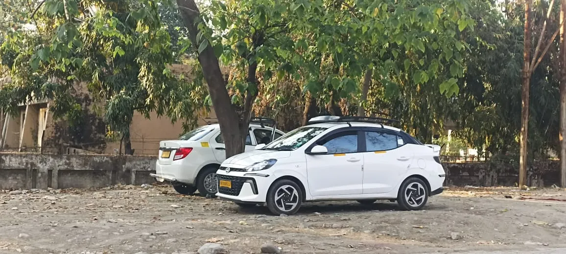 मेडिकल कॉलेज के पास वनभूमि पर फिर से हुआ कब्जा