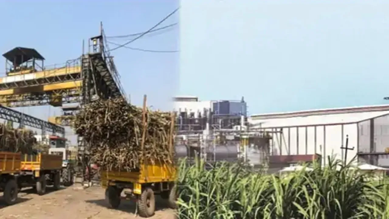 कुशीनगर: कप्तानगंज चीनी मिल का खुला ताला, चलने की जगी आस