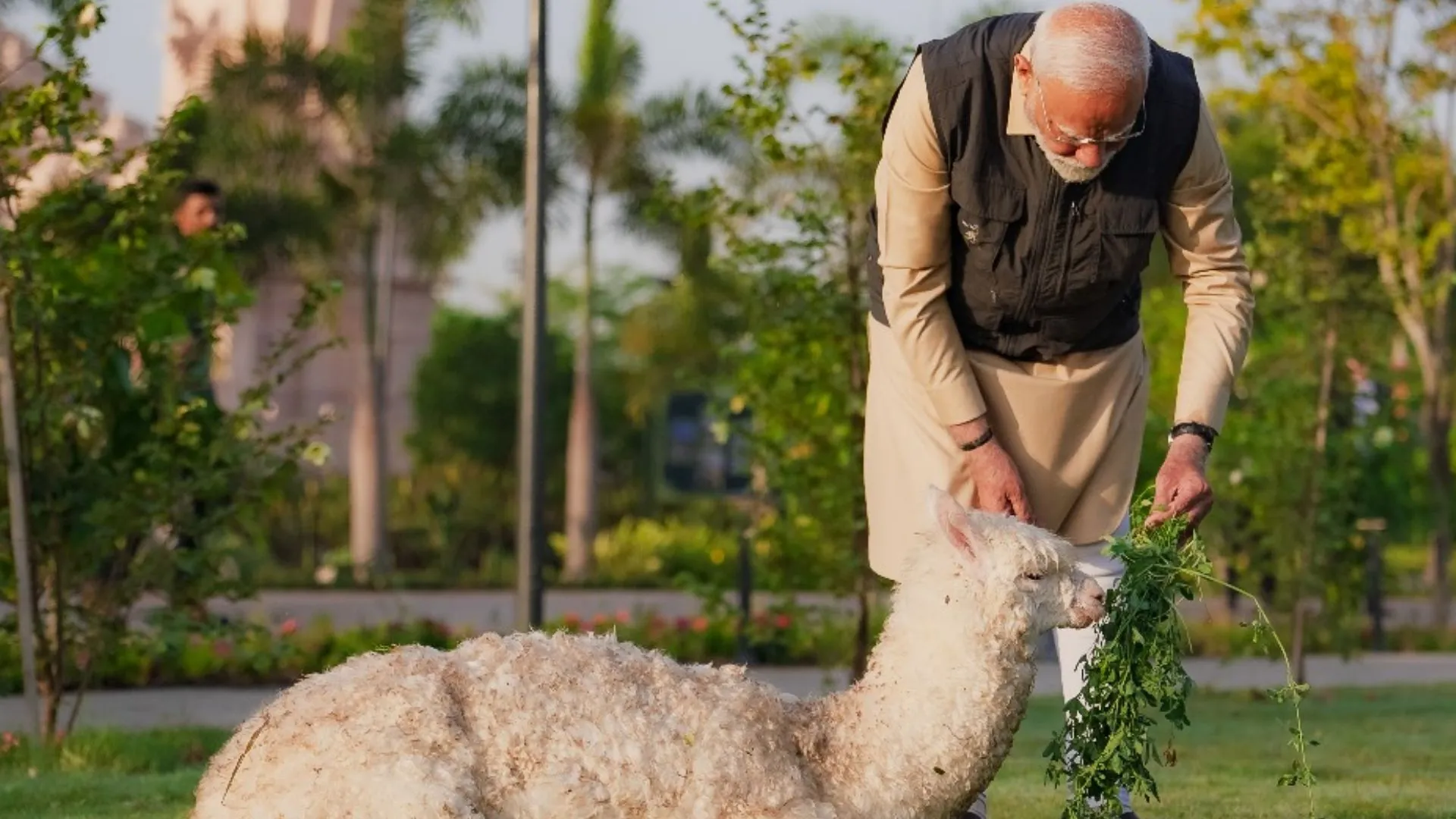 demo image v - 2025-03-04T161131.319