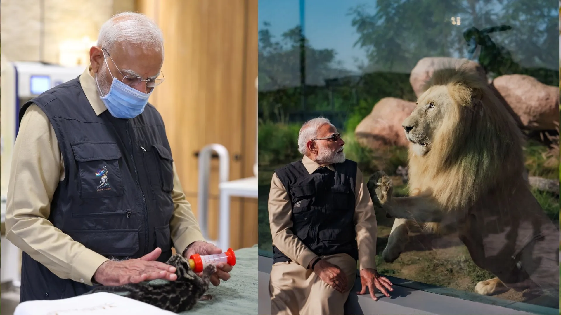 demo image v - 2025-03-04T161221.983