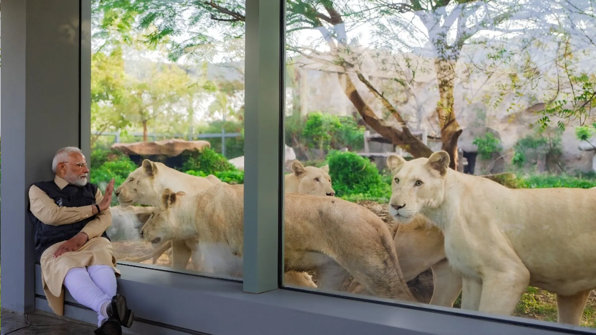 demo image v - 2025-03-04T161346.631