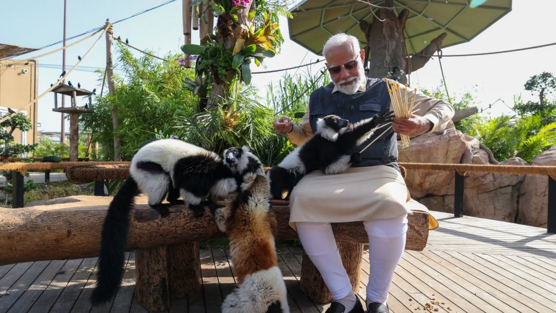 demo image v - 2025-03-04T161408.041