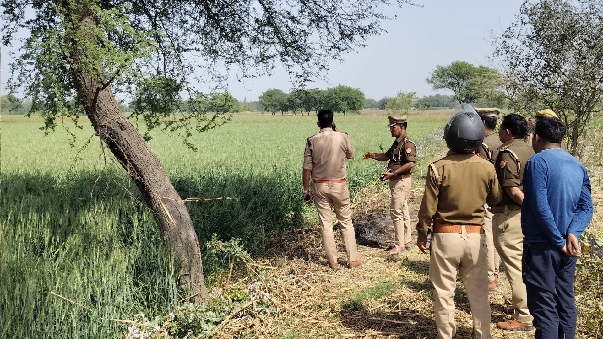 बहराइच: ग्रामीण के घर से दो गाय की चोरी कर की हत्या, गेहूं के खेत में मिले अवशेष... केस दर्ज