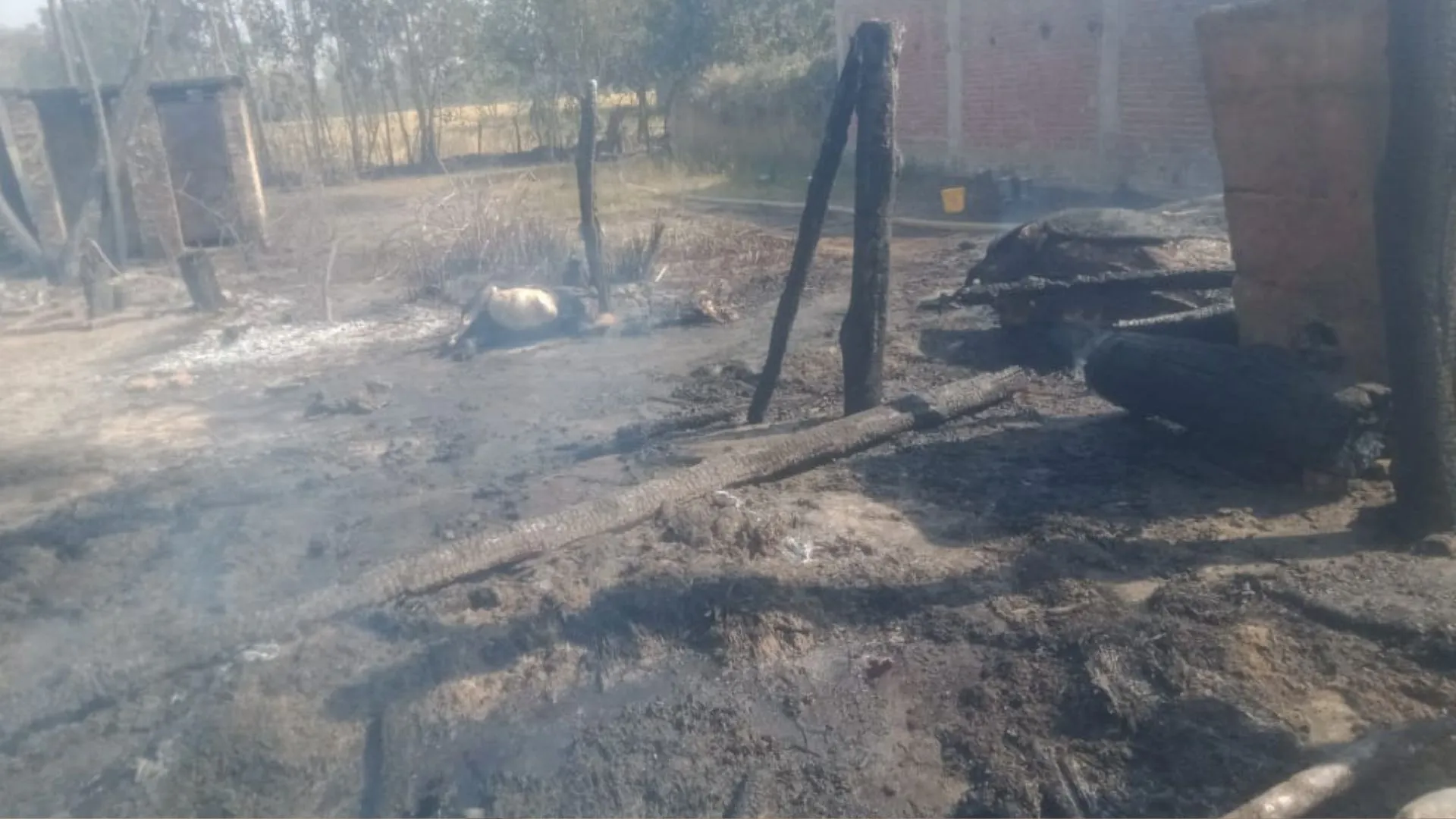 बहराइच: अज्ञात कारणों से लगी आग में 25 घर राख, 29 मवेशी की जिंदा जलकर मौत...लाखों का हुआ नुकसान 
