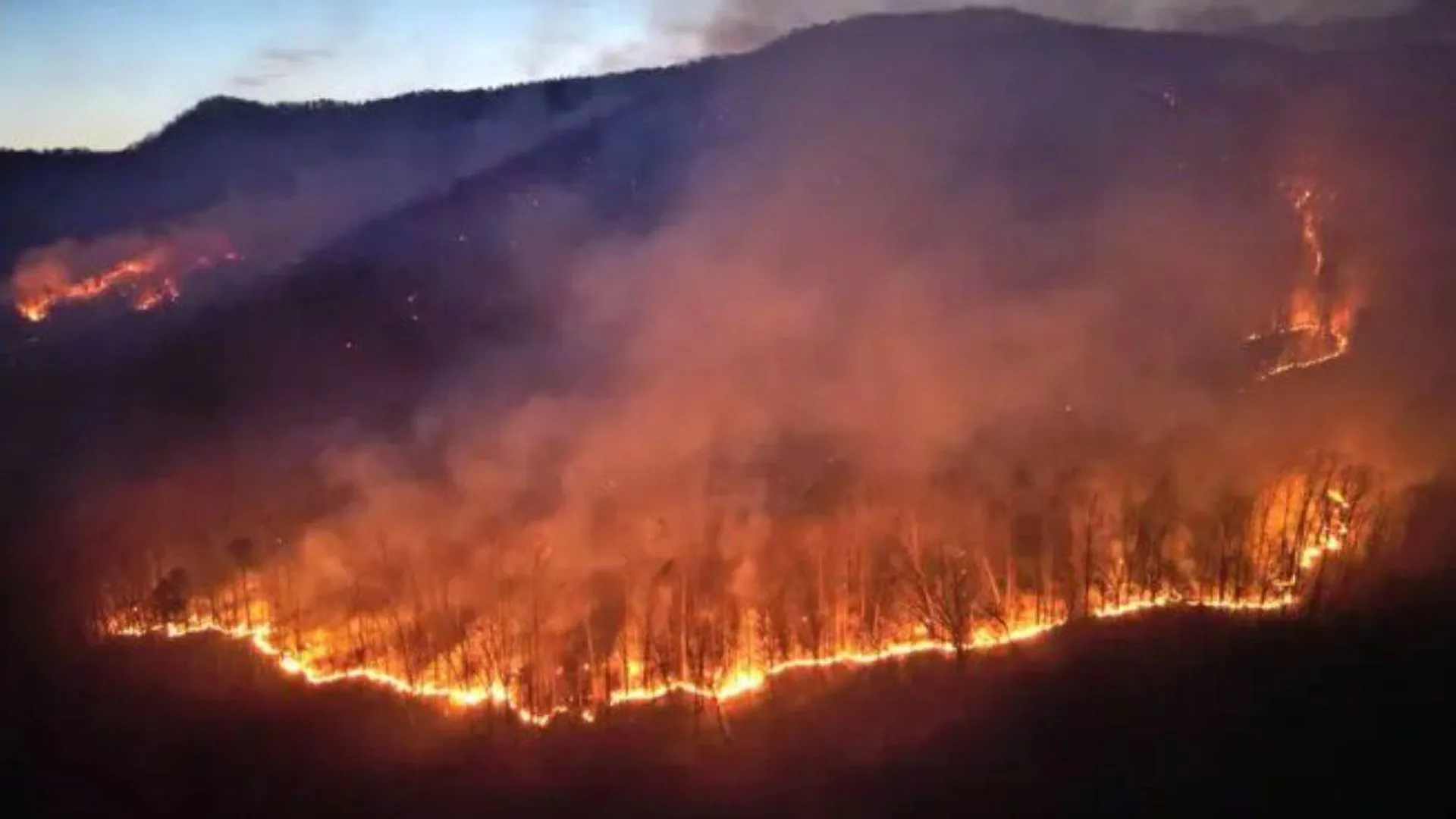 अमेरिका के कैरोलिना राज्यों में आग से कई घर जले, लोगों को सुरक्षित निकाला गया...आपातकाल की घोषणा