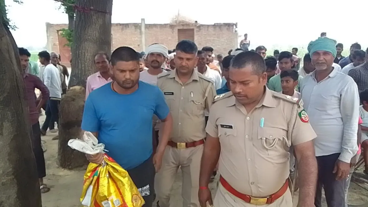 फर्रुखाबाद में जंगली जानवर दिखने से मचा हड़कंप; वन विभाग के पकड़े जाने पर लोगों ने राहत की सांस ली