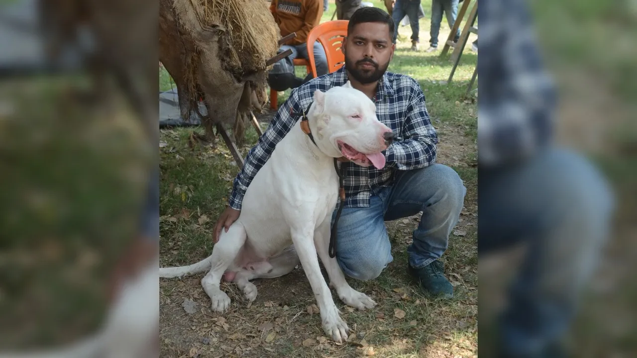 Shashank Mishra Dog (1)