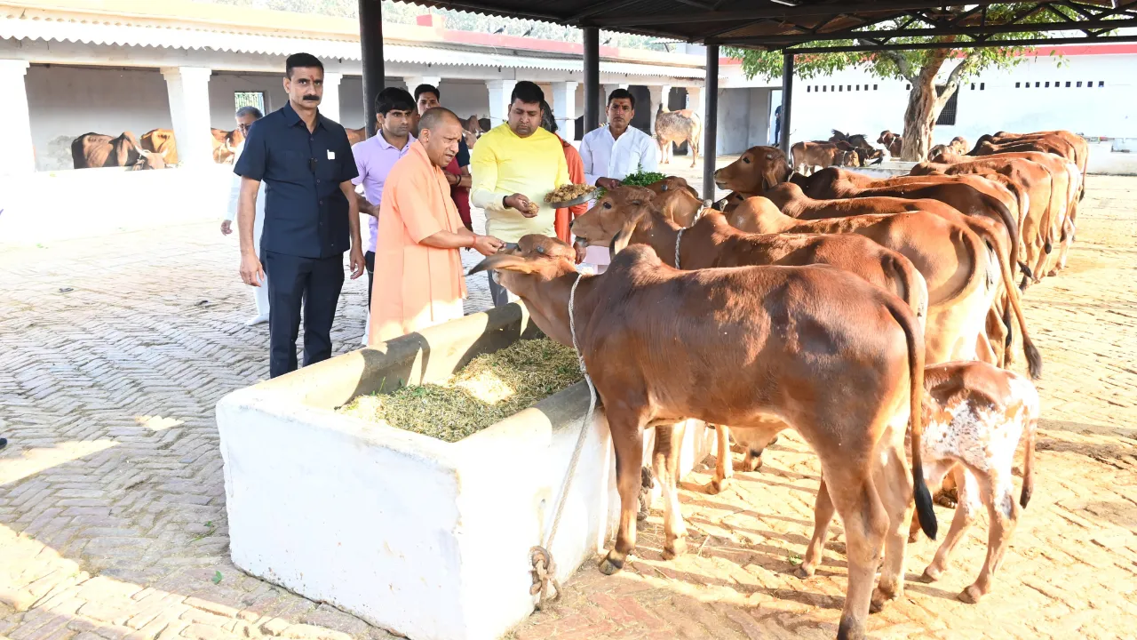 Untitled design (10)