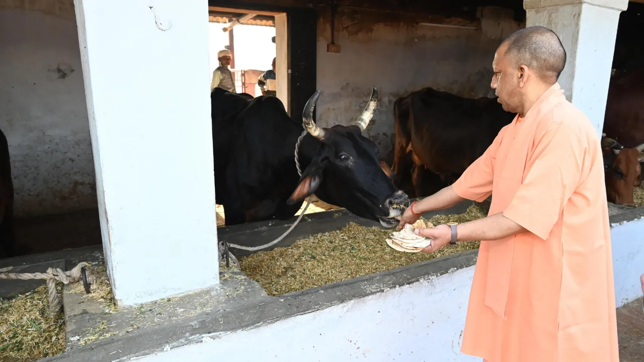 Untitled design (11)