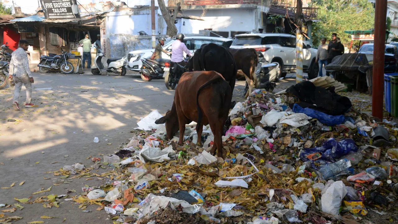 लखनऊः कार्यदायी संस्थाओं को निरीक्षण का खौफ नहीं, शहर की सफाई व्यवस्था अभी भी पटरी पर नहीं