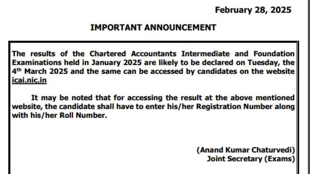 Untitled design (29)