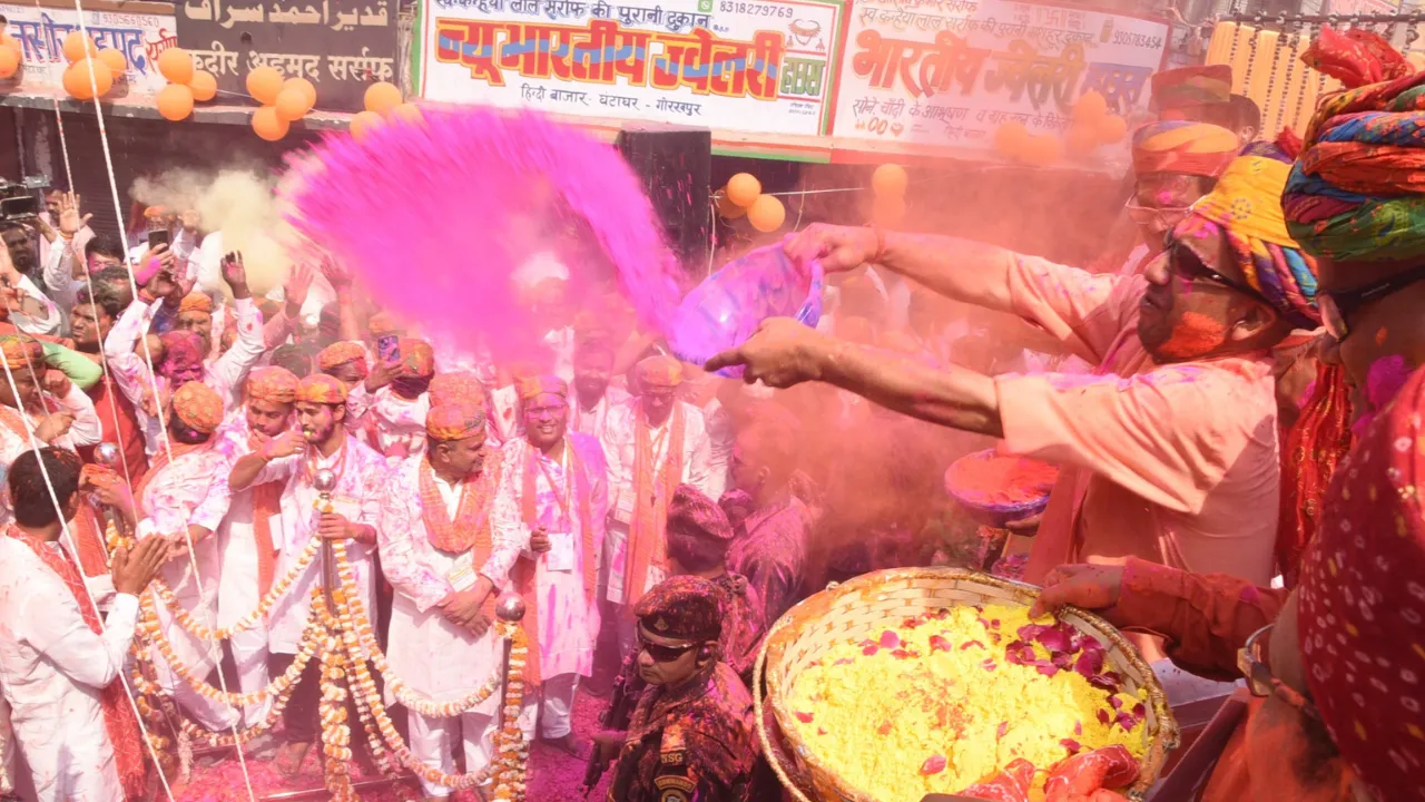 Untitled design (91)