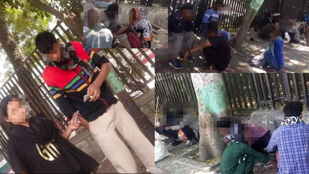 केजीएमयू के पास खुलेआम हो रहा नशे का कारोबार, 50 रुपये में मिलता है स्मैक का फुल डोज, लेने से लेकर बेचने तक में लगी हैं युवतियां