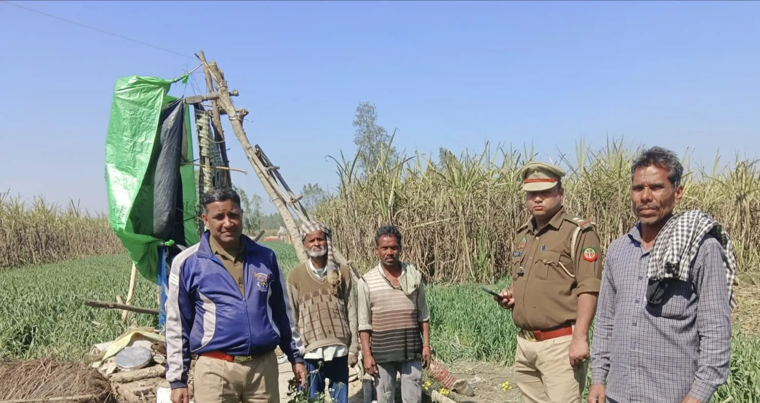 पीलीभीत: नेपाली हाथियों ने फिर मचाया उत्पात, फसलों के साथ झोपड़ी और मचान उजाड़ी