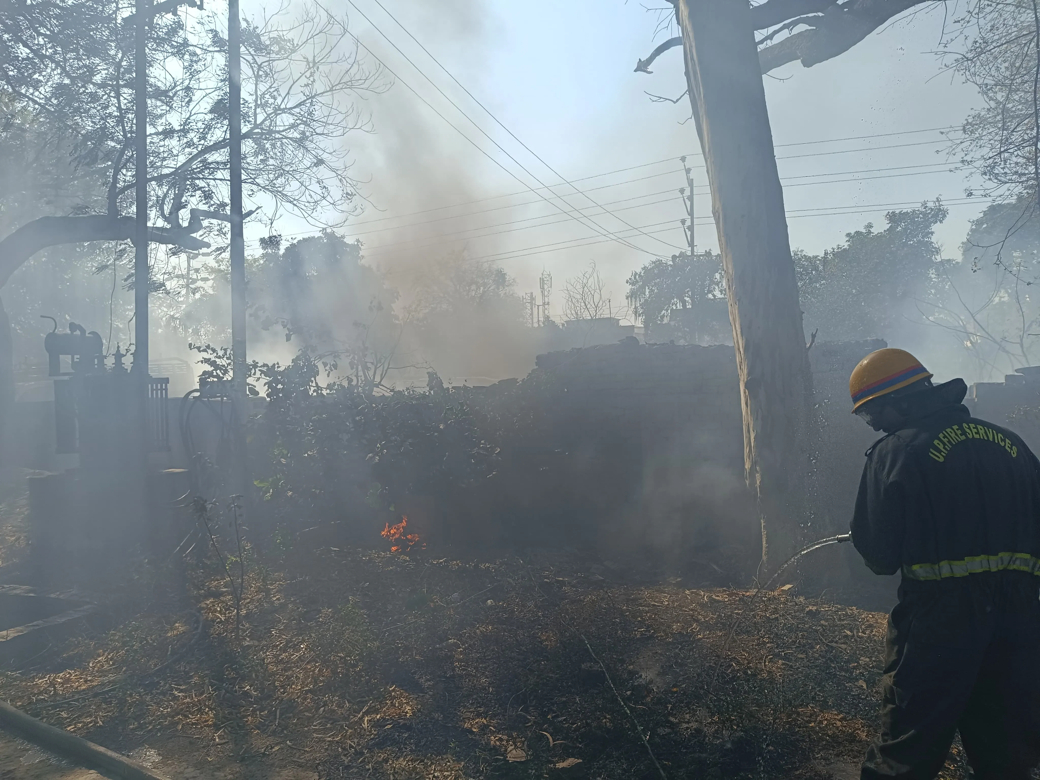 WhatsApp Image 2025-03-07 at 8.29.31 PM