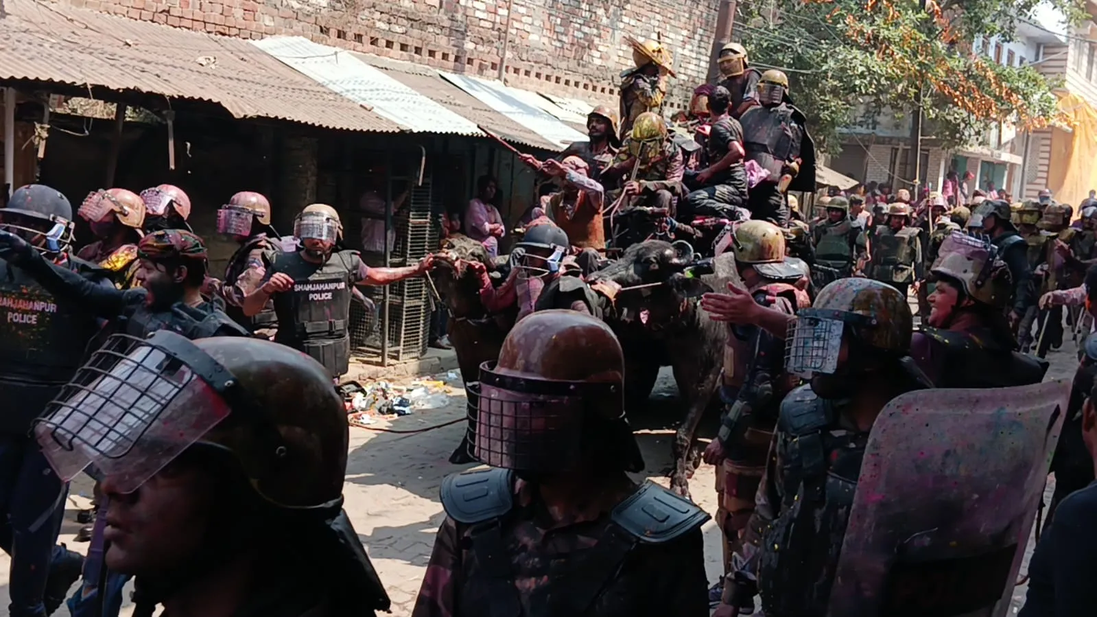 WhatsApp Image 2025-03-15 at 18.56.20