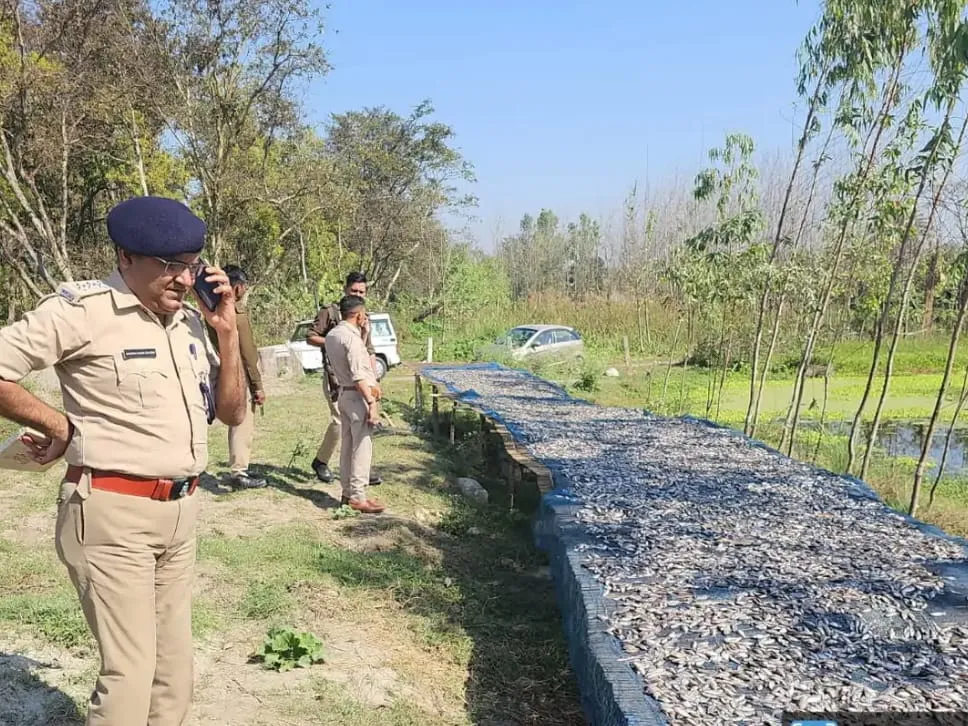 बिजनौर: गंगा नदी में अवैध मछली शिकार का खुलासा, वन विभाग ने जब्त की बड़ी मात्रा में मछलियां