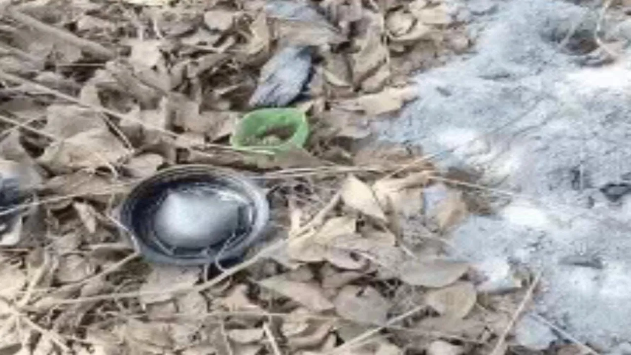 Prayagraj News : लाजर मसीह से पूछताछ में खुला गुफा का राज, महाकुंभ में कड़ी सुरक्षा ने फेरा आतंकी के मनसूबों पर पानी