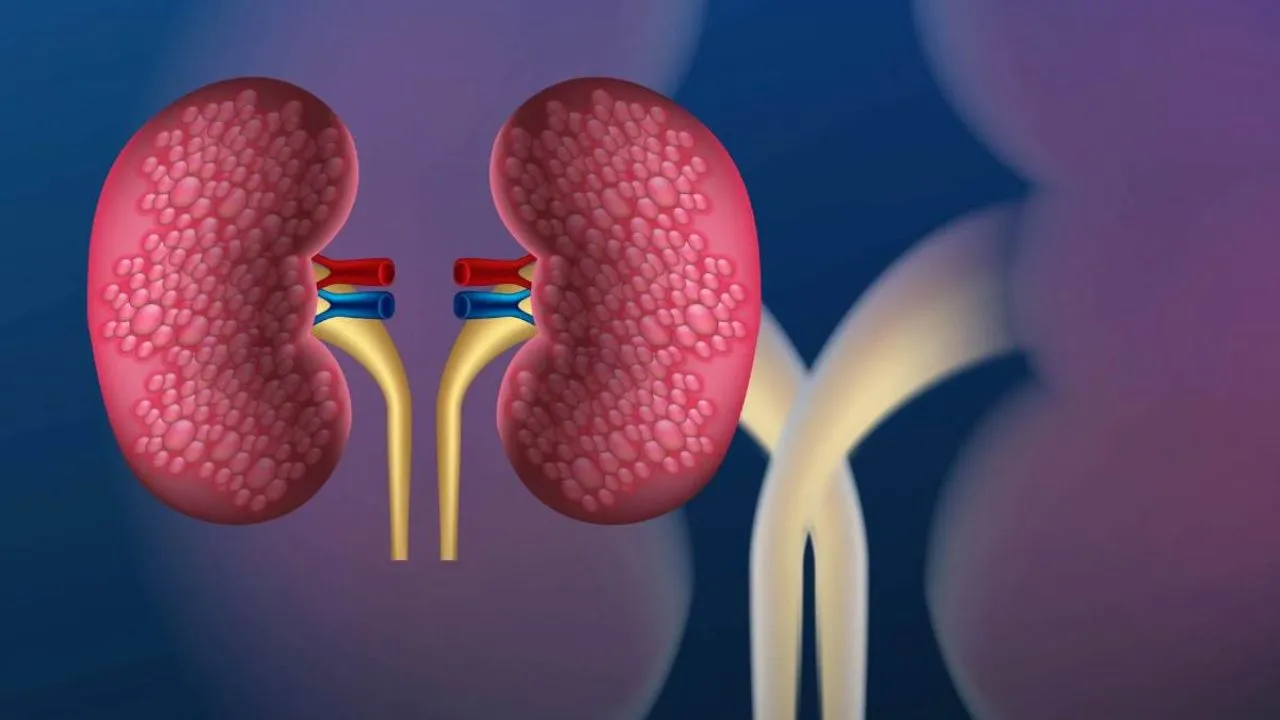 Kanpur: जीएसवीएम में बनेगा किडनी प्रत्यारोपण केंद्र, शहर में रोगियों की बच सकेगी जान, कॉलेज प्रशासन को मिलेंगे इतने करोड़... 