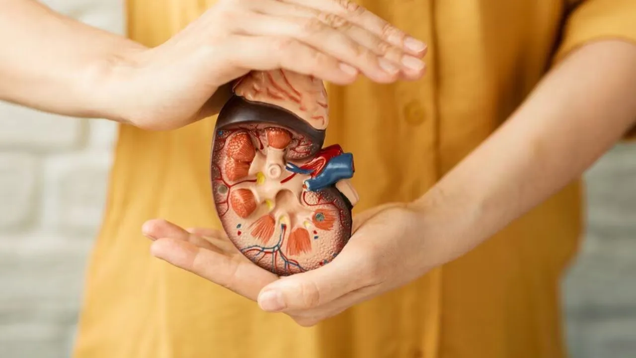 Kanpur: डायबिटीज और हाई बीपी किडनी के लिए दुश्मन, लापरवाही हो सकती जानलेवा, रोजाना पीजीआई आते इतने मरीज... 