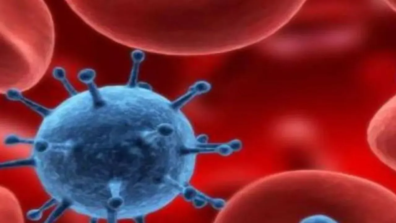 Kanpur: एआई से जल्द होगी कैंसर की पहचान, देगा संकेत, विशेषज्ञ बोले- हर व्यक्ति की जेब में होगा मास्टर कोच उपकरण