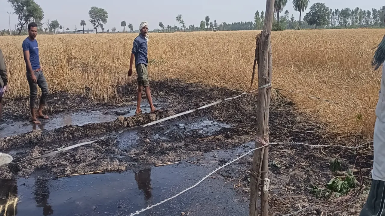 कासगंज : दमकल नही पहुंची, देवदूत बने ग्रामीणो ने बुझाई गेहूं फसल मे लगी आग