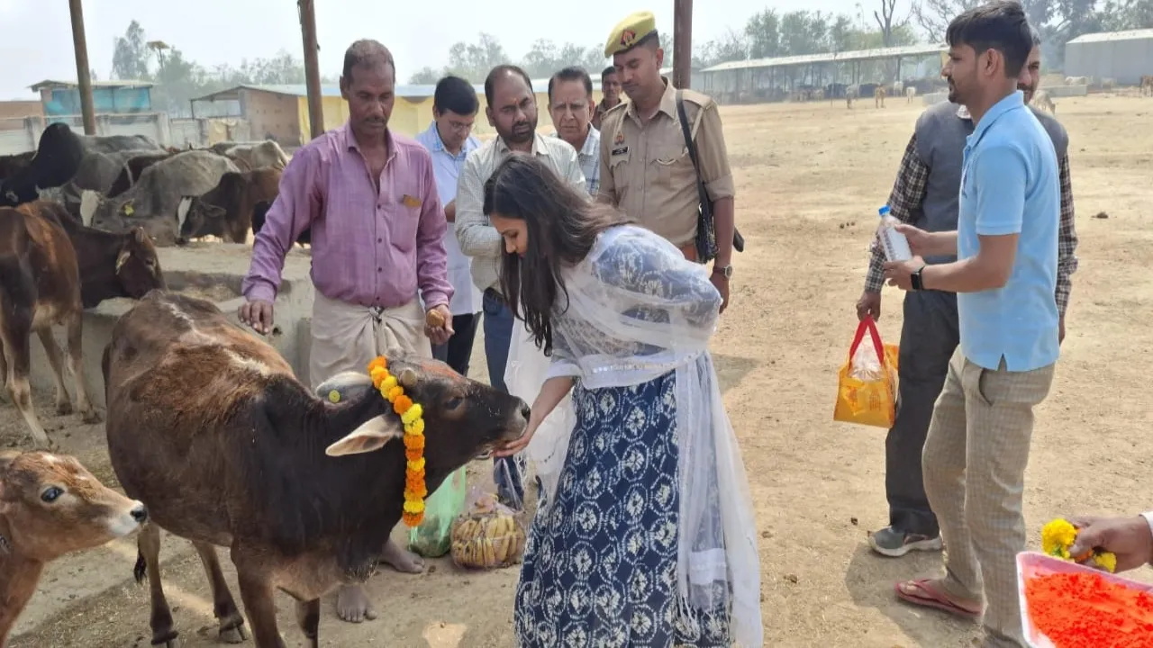  होली 2025 :  CDO ने  गौ पूजन कर मनाई होली, बोलीं- बेजुबानों की देखभाल में न हो कोई कमी