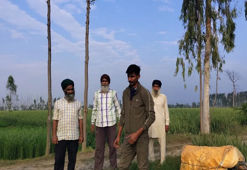 रामपुर : धर्मपुर उत्तरी के जंगल में दिखा तेंदुआ, किसानों में दहशत