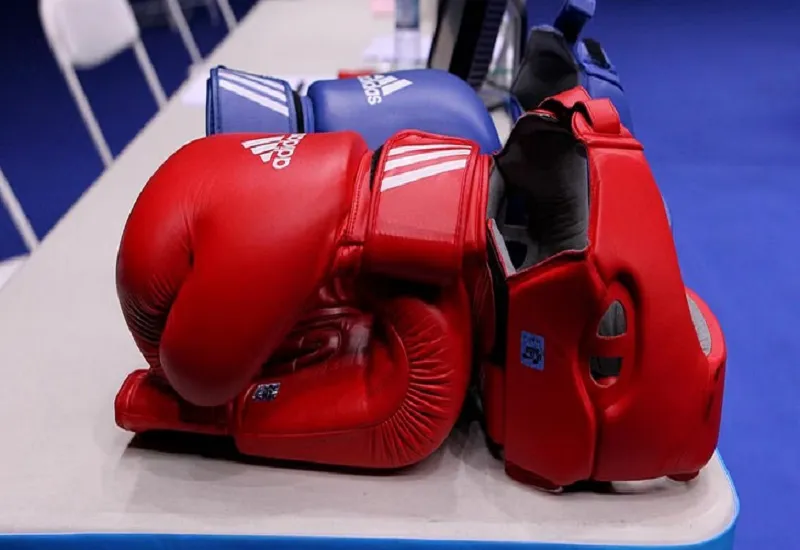 भारतीय मुक्केबाजी महासंघ ने स्थगित किए चुनाव, कहा-निर्धारित समय सीमा के अंदर प्रक्रिया पूरी करना असंभव 