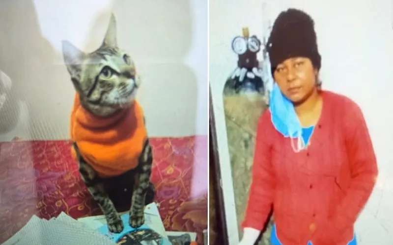 Amroha News : मंदबुद्धि युवती ने दुपट्टे से फंदा लगाकर दी जान, 3 दिन से मरी बिल्ली को रख रही थी साथ 