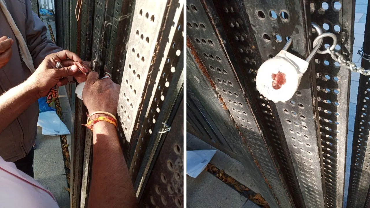 लश गार्डन सील कानपुर 11