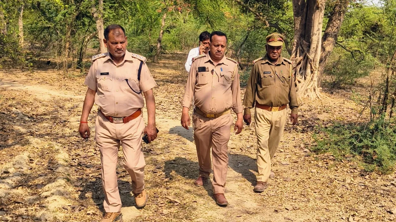 वन्यजीव की दस्तक : अमराई गांव में दिखा हिंसक जानवर, वन विभाग ने शुरू की कांबिंग 