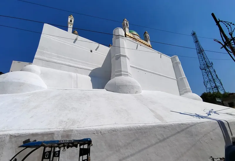 संभल : सफेद रंग से रंगी नजर आने लगी जामा मस्जिद, कमेटी कहा-वह काम से संतुष्ट, एएसआई कौन सा रंग करा रही है फर्क नहीं पड़ता