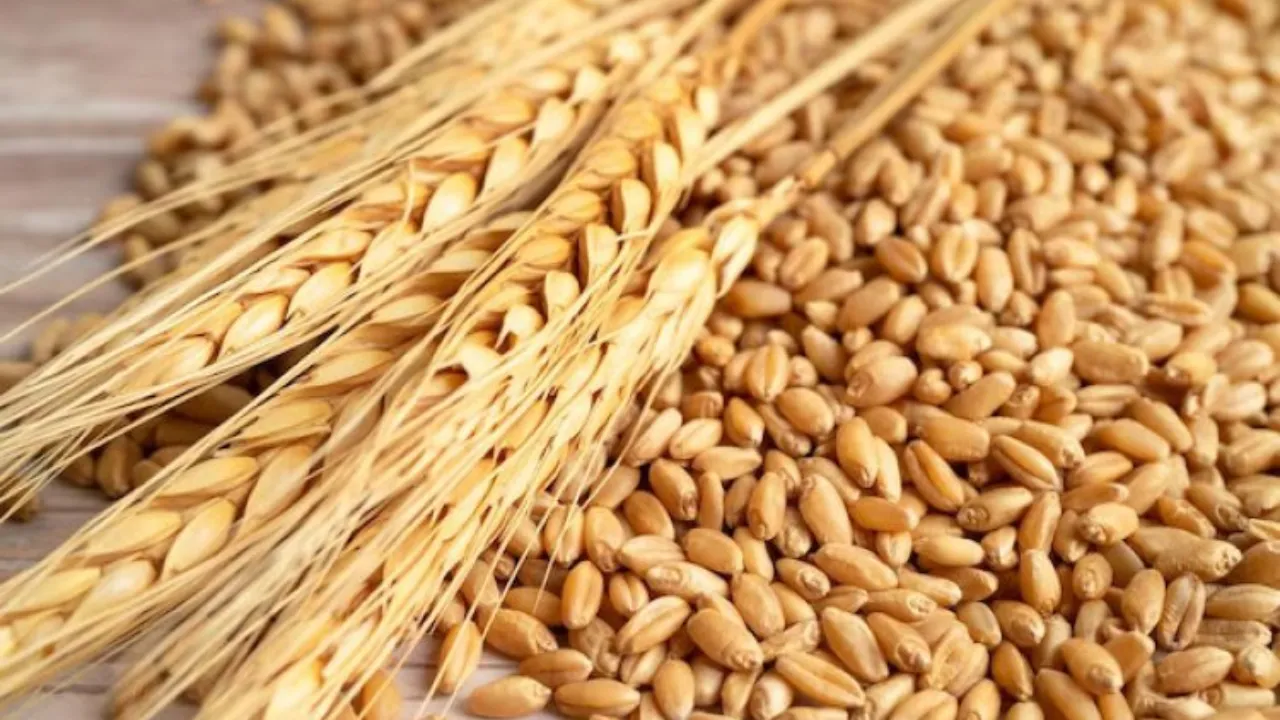 पीलीभीत: पांच क्रय एजेंसियों के कम पंजीकरण पर डीएम नाराज, दिए सख्त निर्देश