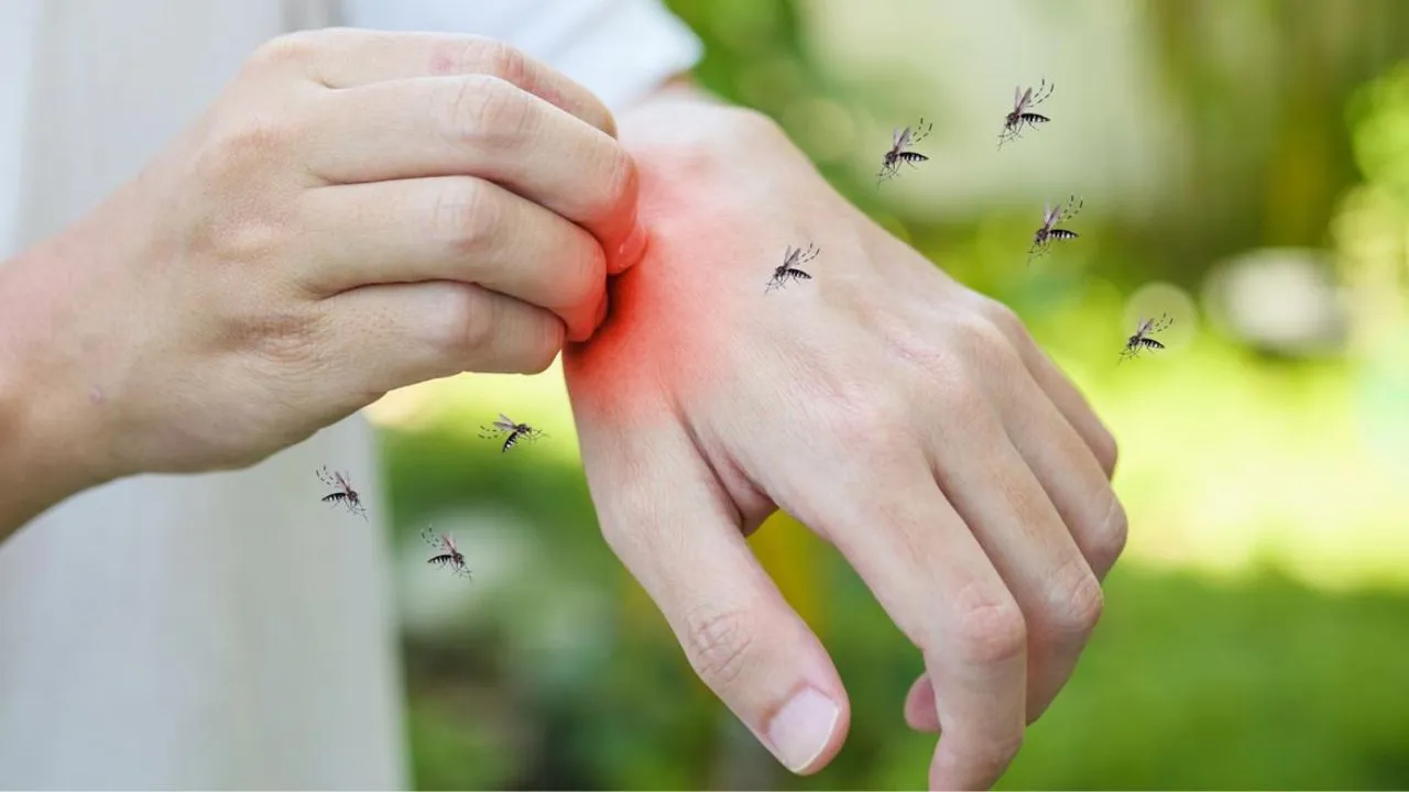 बदायूं में गंदगी और मच्छरों का फैलाव, मलेरिया विभाग की उदासीनता