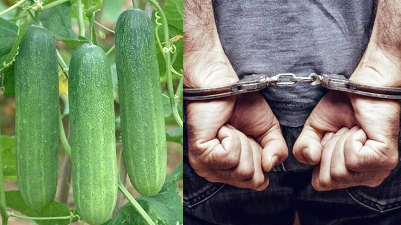 लखीमपुर खीरी: खीरा तोड़ने के आरोप में छह लोगों की पिटाई, पांच गिरफ्तार