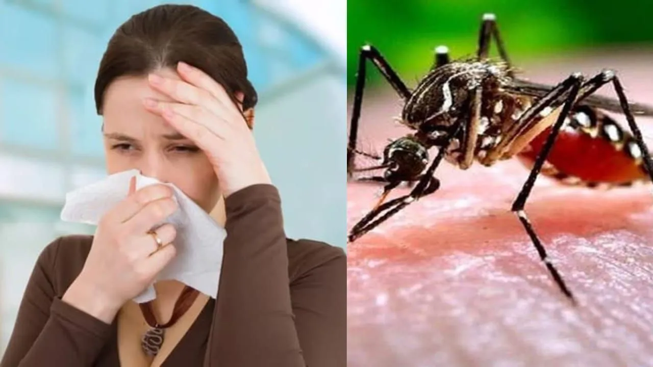 बदायूं: गंदगी और मच्छरों से परेशान कस्बे के लोग, संक्रामक बीमारियों का खतरा