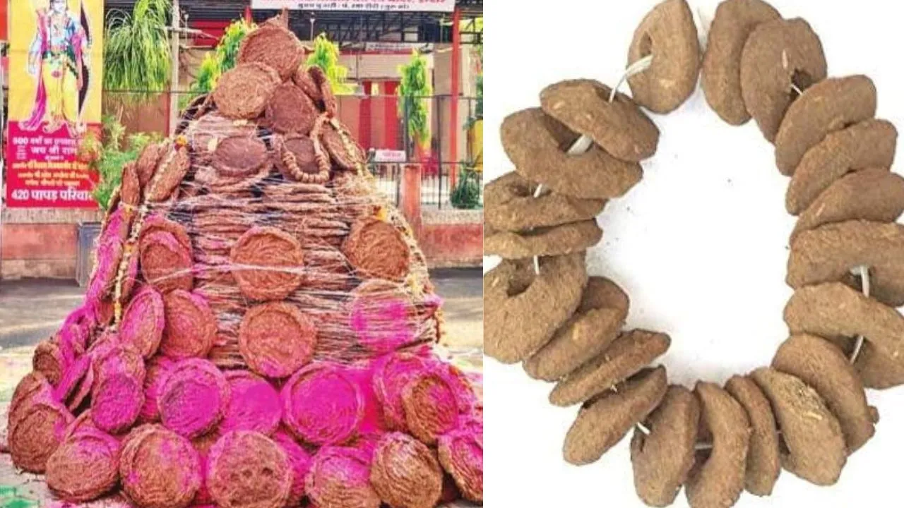 कासगंज: होली पर गोबर की गुलरियों का विशेष महत्व, होलिका पर चढ़ाया जाता है हार