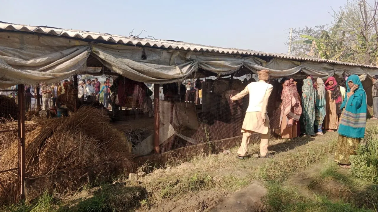 बदायूं: मुर्गी फार्म पर पत्नी के साथ सो रहे युवक की गोली मारकर हत्या