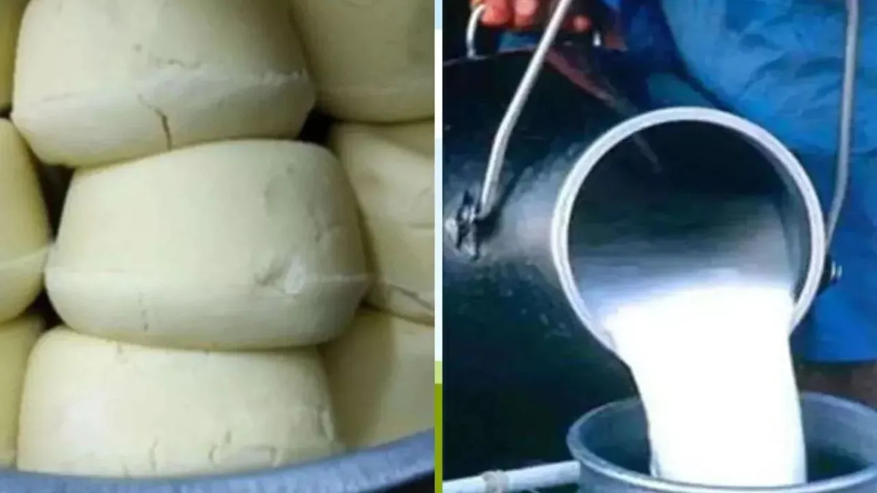 लखीमपुर खीरी में खाद्य सुरक्षा टीम की सख्त कार्रवाई, होली के लिए गुणवत्ता जांच जारी