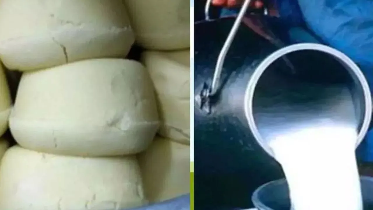 लखीमपुर खीरी: खाद्य सुरक्षा विभाग ने लिया छेना, मावा और देशी घी का सैंपल, जांच जारी